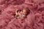 Preview: Neugeborenen Photo Prop Decke