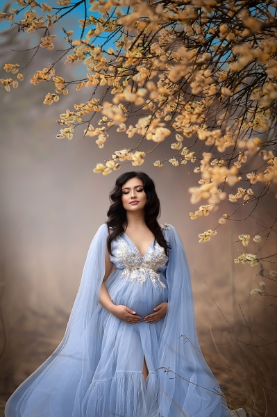 WISTERIA#82 maternity gown for photoshoot