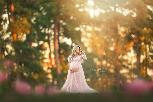 BREE Maternity gown for Photoshoot