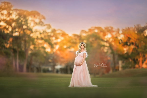 BREE Maternity gown for Photoshoot